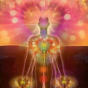 Meet your Posher, Pj